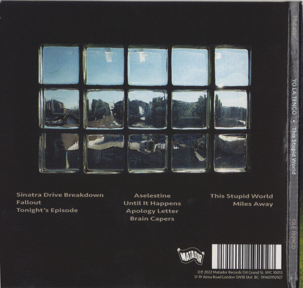 Yo La Tengo : This Stupid World (CD, Album)