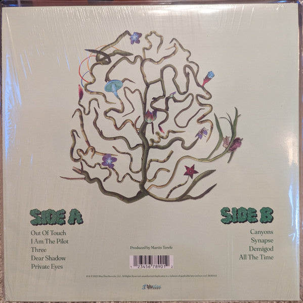 KT Tunstall : Nut (LP, Ltd, Cle)