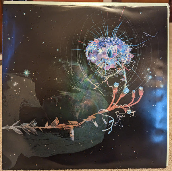 KT Tunstall : Nut (LP, Ltd, Cle)