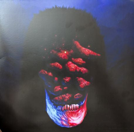 Sandrider : Enveletration (LP, Album, Gat)