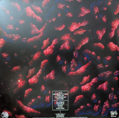 Sandrider : Enveletration (LP, Album, Gat)