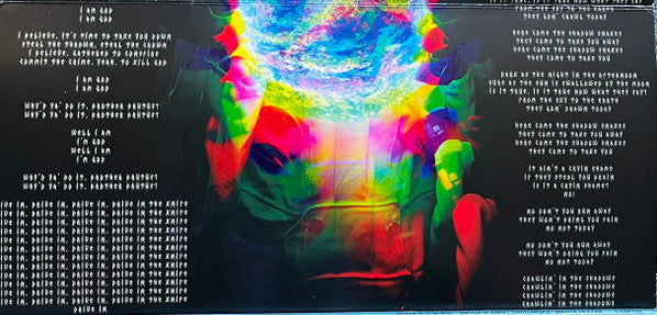 Balkun Brothers : Here Comes The End Of The World (LP)