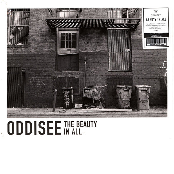 Oddisee : The Beauty In All (LP, Album, RE, Roy)