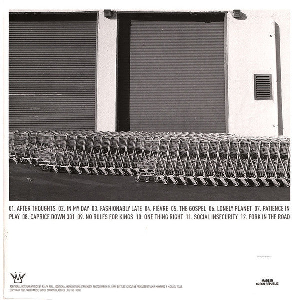 Oddisee : The Beauty In All (LP, Album, RE, Roy)