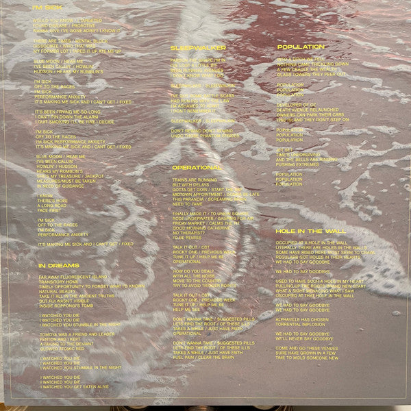 Namesake (8) : Redeeming Features (LP, Album, Pur)
