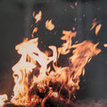 Fran : Leaving (LP, Album, cre)