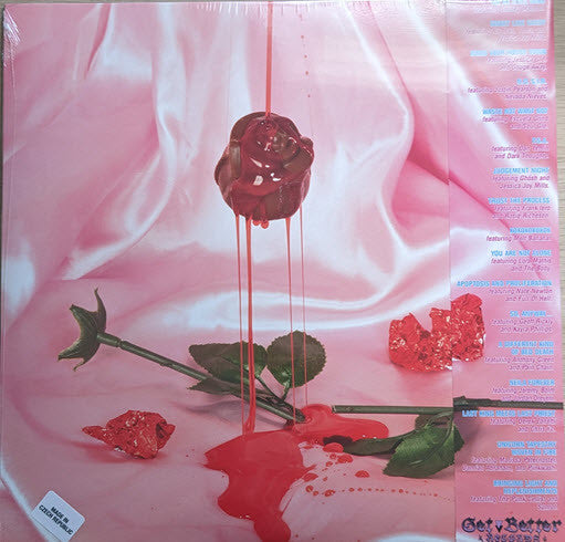 The HIRS Collective* : We're Still Here (LP, Album, Bab)