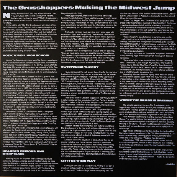 The Grasshoppers (10) : Let It Be That Way (LP, Comp, Mono)