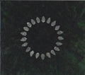 Esben And The Witch : Hold Sacred (CD, Album)