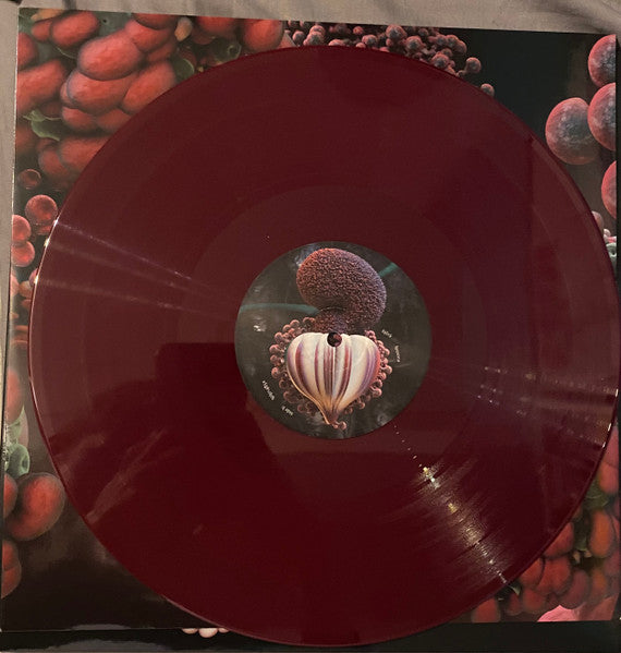 Björk : Fossora (2xLP, Album, Ltd, RE, Bur)