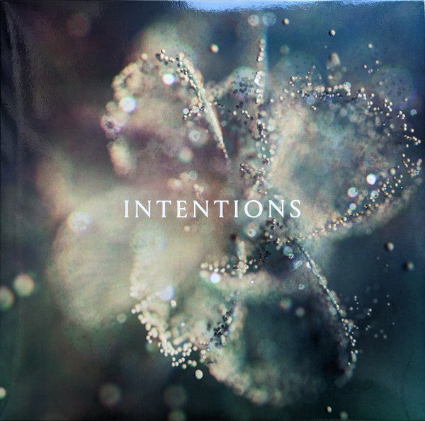 DJ Anna : Intentions (2x12", Album)