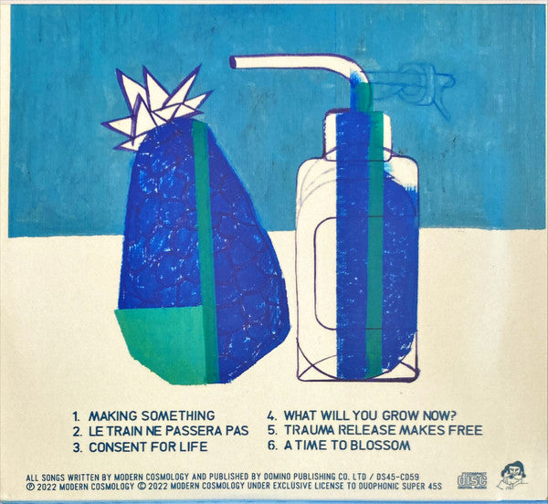 Modern Cosmology : What Will You Grow Now? (CD, Album)