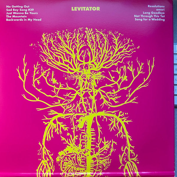 Smokey Brights : Levitator (LP, Album, Gat)