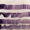 Flocks (3) : Flocks (CD, Album)