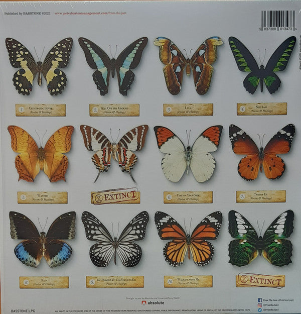 Bruce Foxton & Russell Hastings : The Butterfly Effect (LP, Album)