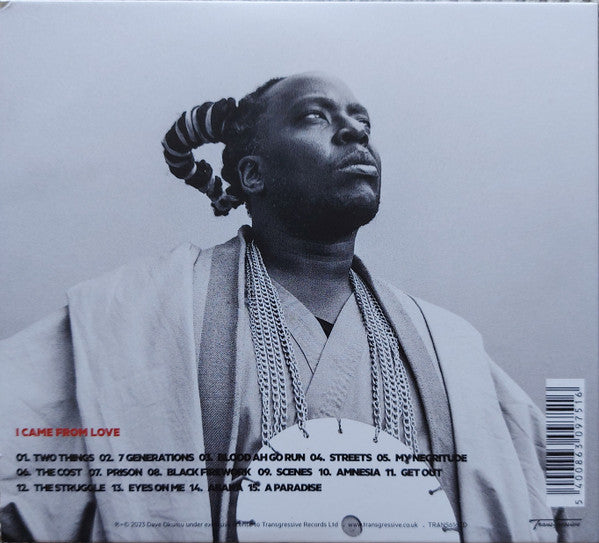 Dave Okumu And The Seven Generations : I Came From Love (CD, Album)