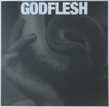 Godflesh : Purge (LP, Album)