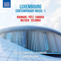 Ivan Boumans, Marco Pütz (2), Jeannot Sanavia, Roland Wiltgen, Tatsiana Zelianko, Solistes Européens Luxembourg, Christoph König (2) : Luxembourg Contemporary Music • 1 (CD, Album)