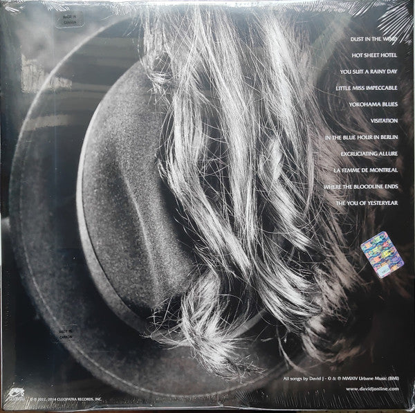 David J : An Eclipse Of Ships (LP, Album, Ltd, RE, Sil)