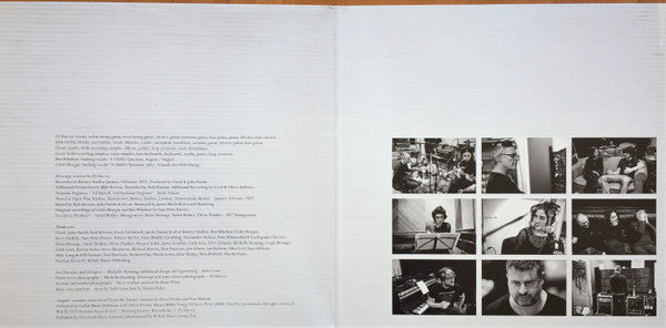 PJ Harvey : I Inside The Old Year Dying (LP, Album)