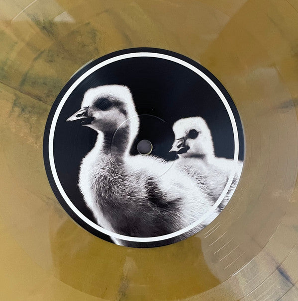 Reverse (4) : Behind These Walls (LP, Ran)