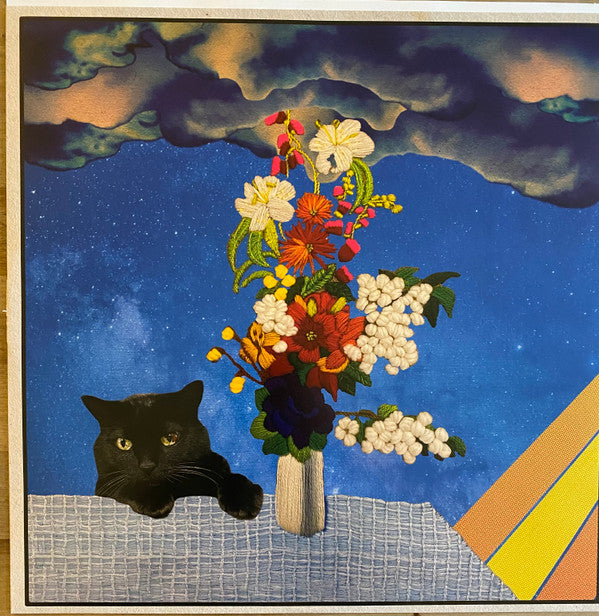 Beth Bombara : It All Goes Up (LP, Album, 180)