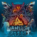Birdflesh : Sickness In The North (LP, Album)