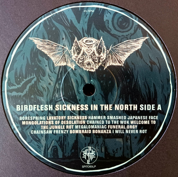 Birdflesh : Sickness In The North (LP, Album)
