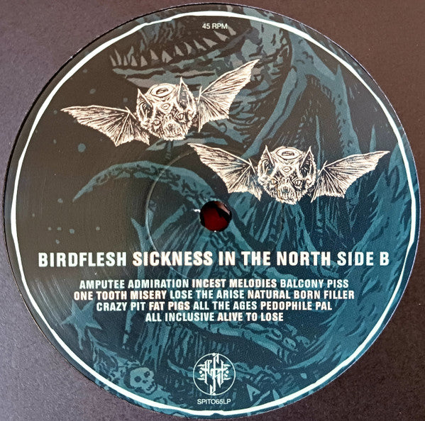 Birdflesh : Sickness In The North (LP, Album)