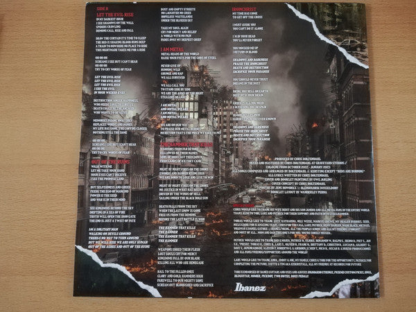 Chris Boltendahl's Steelhammer : Reborn In Flames (LP, Album)