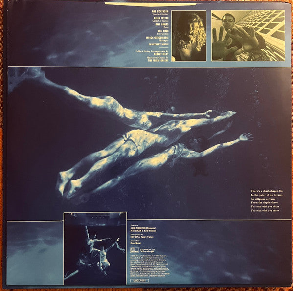 Catherine Wheel : Chrome (LP, Album, RE)