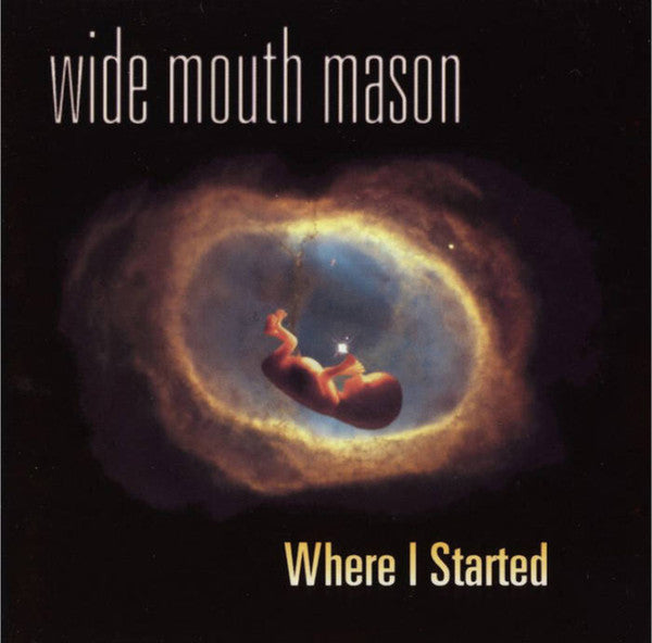 Wide Mouth Mason : Where I Started (LP, Ltd)