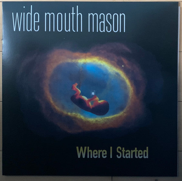 Wide Mouth Mason : Where I Started (LP, Ltd)