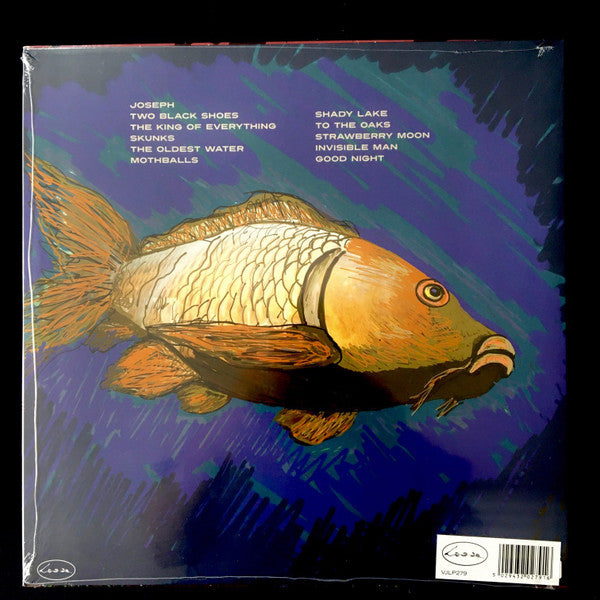 The Handsome Family : Hollow (LP, Album)