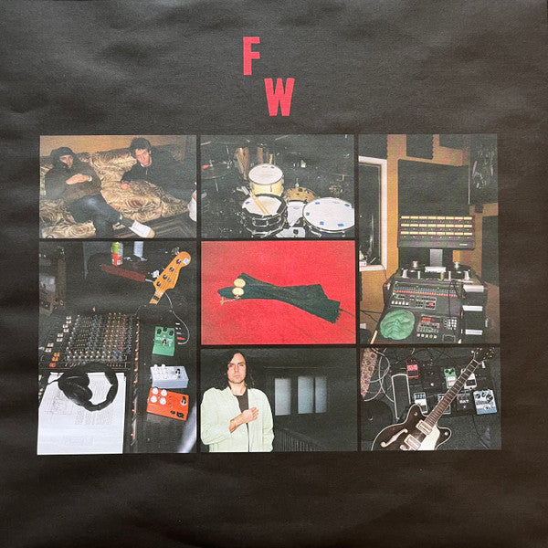 Flat Worms : Witness Marks (LP, Album)