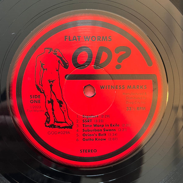 Flat Worms : Witness Marks (LP, Album)