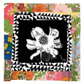 Woods (2) : Perennial (LP, Album)