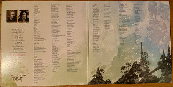 Downes Braide Association : Celestial Songs (2xLP, Pur)