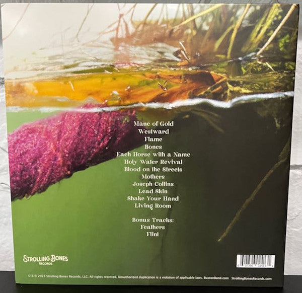 Buxton : A Family Light (2xLP, Cle)