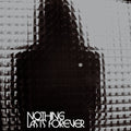 Teenage Fanclub : Nothing Lasts Forever (LP, Album)