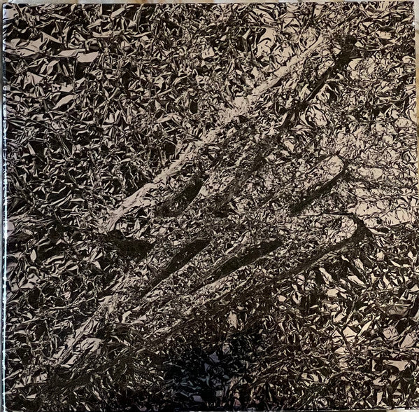 Say She She : Silver (CD, Album)