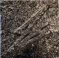 Say She She : Silver (CD, Album)