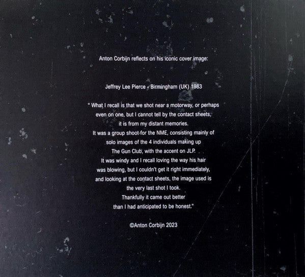 Various : The Task Has Overwhelmed Us (The Jeffrey Lee Pierce Sessions Project) (CD)