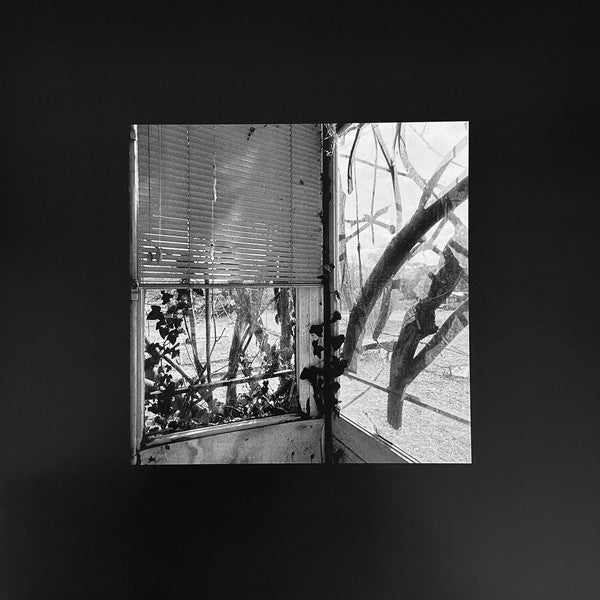 Impure Wilhelmina : Dead Decades (12", EP, Ltd, Sil)