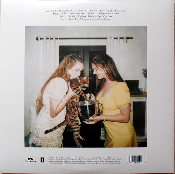 Lana Del Rey : Blue Banisters (2xLP, Album, RE)