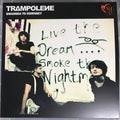 Trampolene : Swansea To Hornsey (LP, Album, RE, Gre)