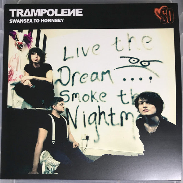 Trampolene : Swansea To Hornsey (LP, Album, RE, Gre)