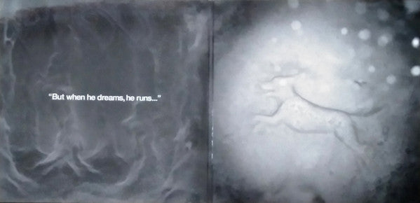 Kate Bush : 50 Words For Snow (2xLP, Album, RE, RM, Sno)