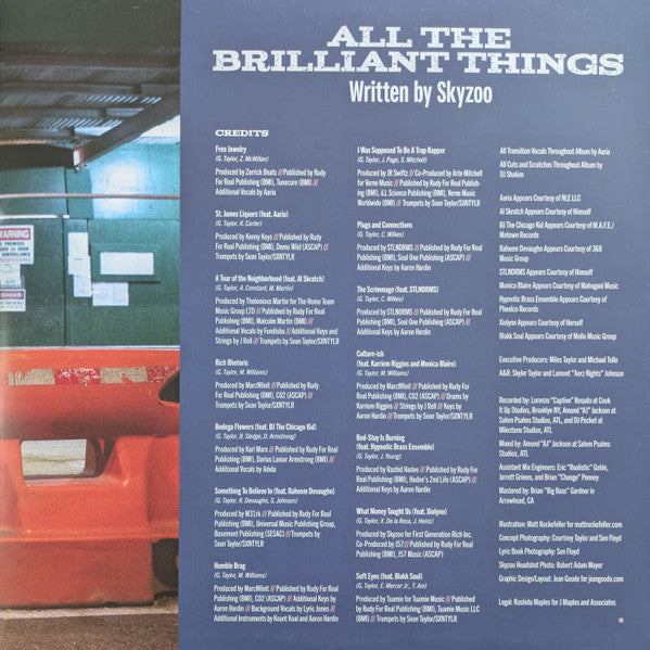 Skyzoo : All The Brilliant Things (LP, Album, Ltd, RE, Pas)