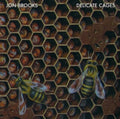 Jon Brooks (6) : Delicate Cages (CD, Album)